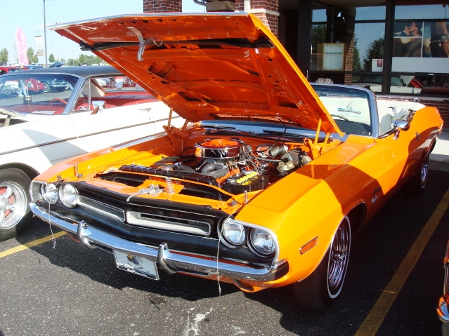 81511_091.jpg